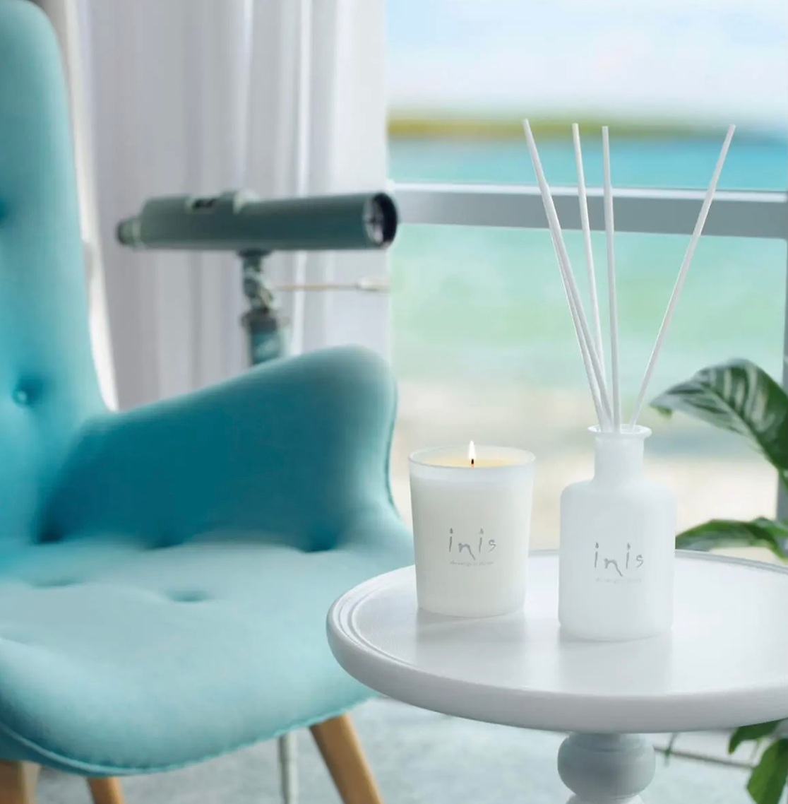 Inis Diffuser Reeds