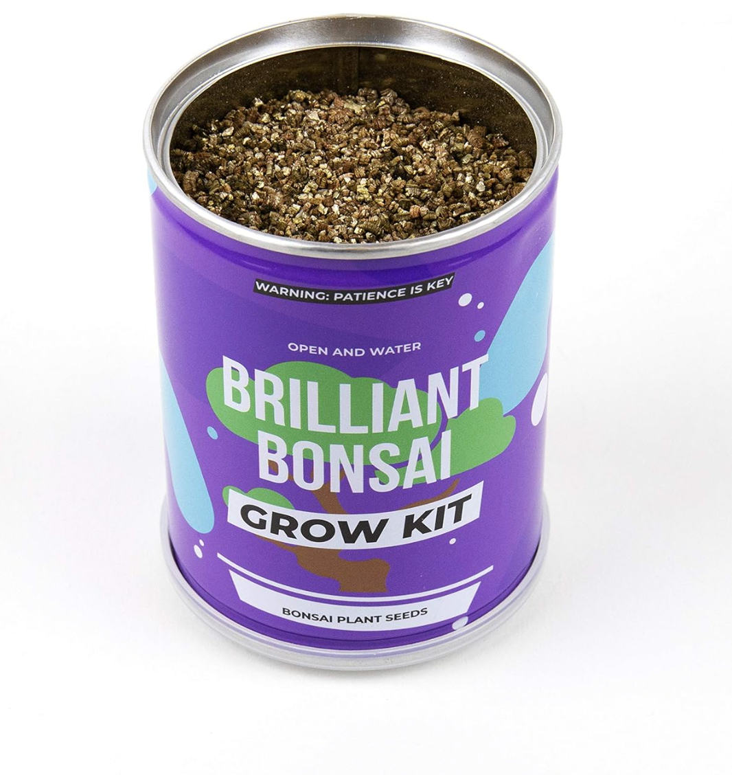 Brilliant Bonsai Grow Kit
