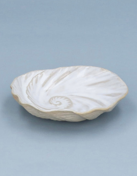 White Spiral Shell Trinket Dish